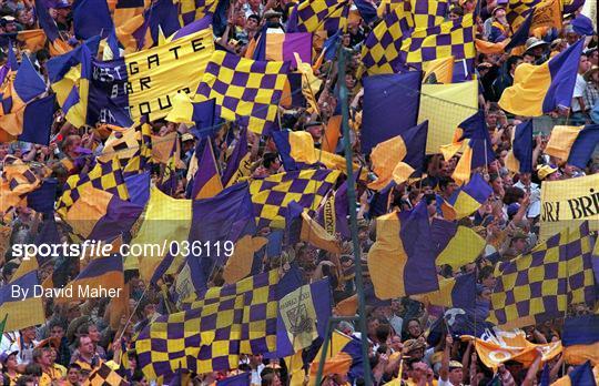 Image result for wexford gaa supporters hill 16 1996