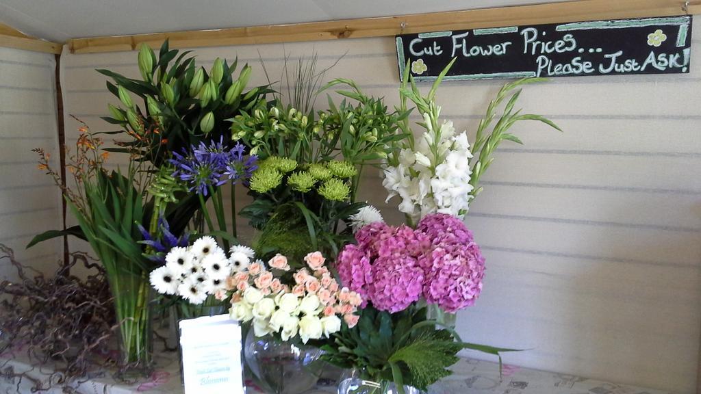 Blossoms Flowers & G on Twitter New Stock Fresh in This