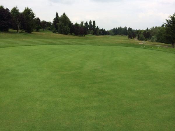 Fescue bent greens now three months old. Almost good to play some smoothing required