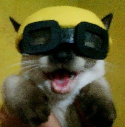 Hunters, Check out our ;latest additions to the Cosplay album: on.fb.me/1jp3fNF here's one, a real Trenya!