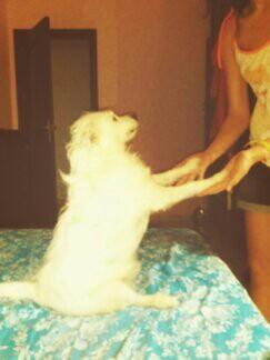 Mi gordita con <a href="/vane89_24/">Vanessa </a>