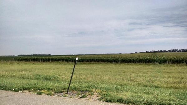 DataUnleashed's tweet image. The corn fields we are passing in Nebraska dwarf the ones we saw as we drove through IN, IL and IA.
