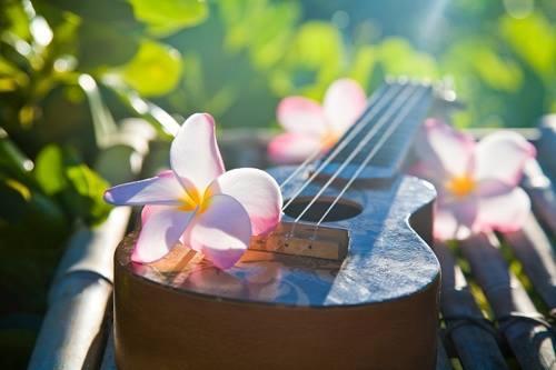 𝕮𝖆𝖒𝖎𝖑𝖑𝖆 ❧ tweet media