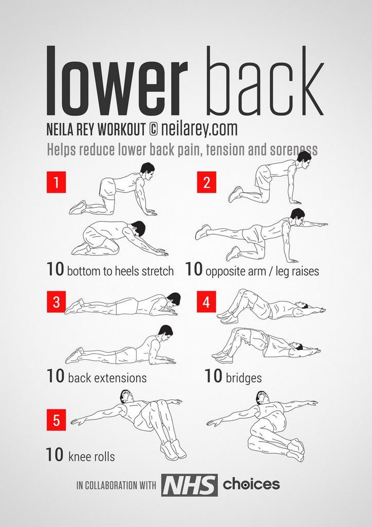 Back hiit hotsell