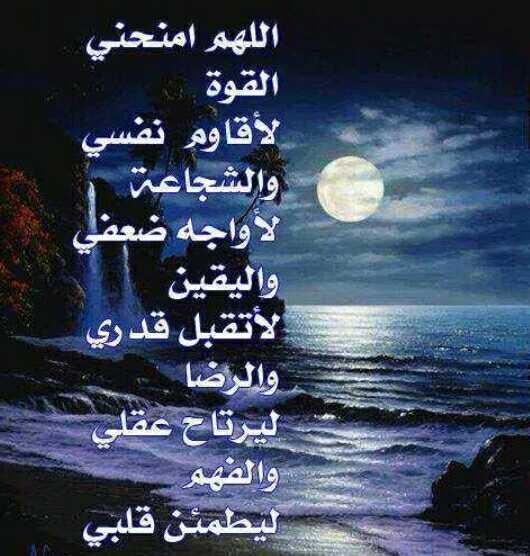ShSQ8's tweet photo. @63alking @hadr555291 @MohamadAli777 @sukkar_2012 @fateeq14 @YoYousseef @mssy700 @AkhaldiMoh @aldawlah73 @alfazle47 http://t.co/lW0YKxkyqn