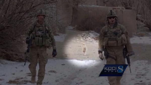 Pets4VetsNYCLI's tweet image. #IOWA VETERAN FLIES HIS DOG HOME! Tale of a soldier who befriended a stray dog in Afghanistan. on.wdsu.com/1twtkvs