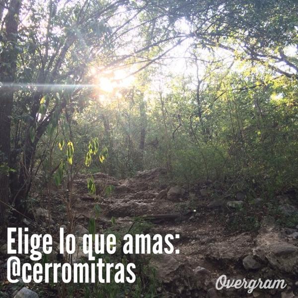 Cerro Mitras tweet media