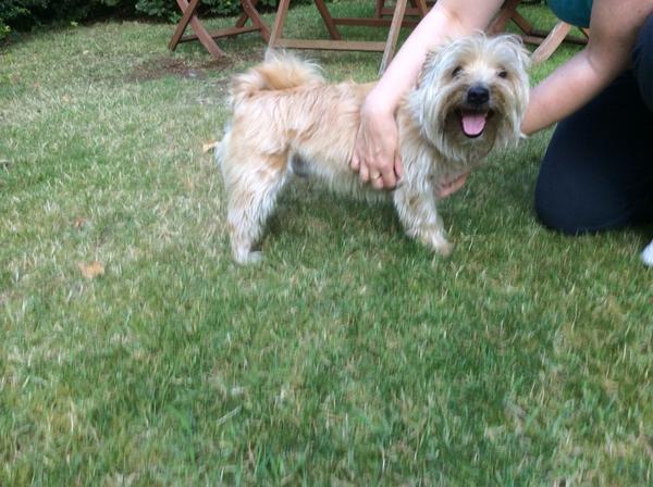 Creative Souls tweet media