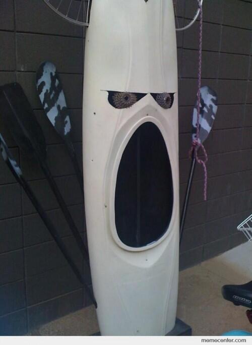 faceinthings's tweet image. This kayak will eat you