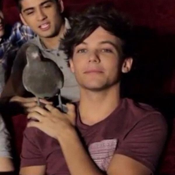 Rana_Ahmedx's tweet photo. http://t.co/y2jHvbyCNz KEVIN :') ♥ Those were the days man :'D ♥ #WeMissThat #1DMemories #4YearsOfOneDirection