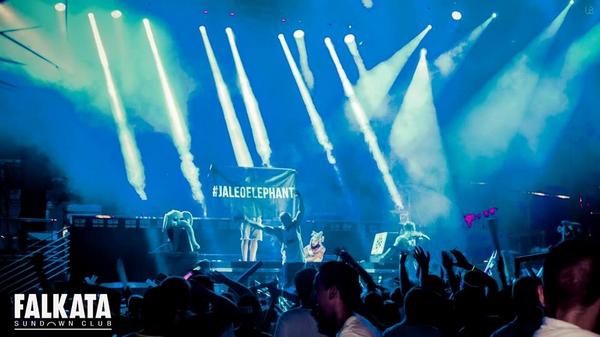 spacelephants's tweet photo. La locura es el estado en el que la felicidad deja de ser inalcanzable 🌀 #jaleoelephant #spaceelephants http://t.co/cnYdzgJhKN