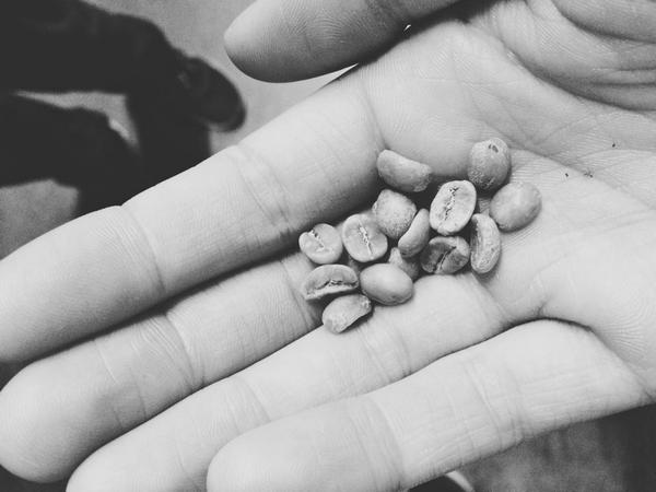 We took a trip down to <a href="/mayorga_coffee/">Mayorga Coffee</a> today to learn more about how we can improve our coffee.