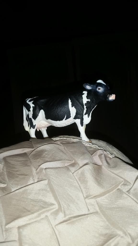rjbeddall's tweet photo. @jimmyfallon as if turning 40 wasn't bad enough my mom gave me this cow figurine as a gift. #MyWorstBirthday http://t.co/E66QJsPbrb