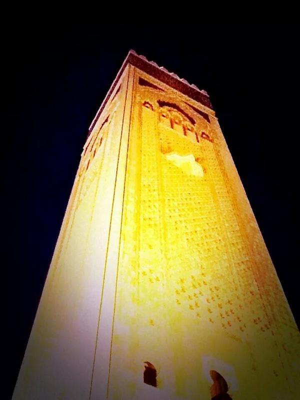 WBergui tweet picture