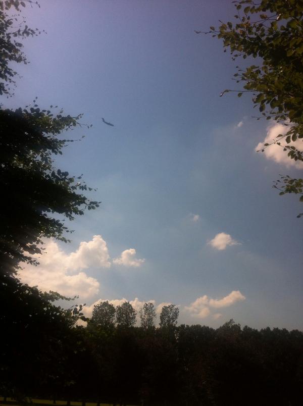 #australian plane here just before landing in Holland , busy on a very very sad mission #nh17 , tks Australia