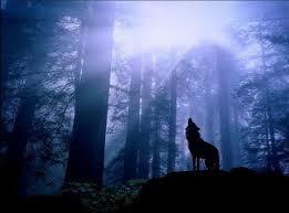 ManelNeel's tweet photo. Rien dans ce  monde n’arrivent par hasard http://t.co/Knp0vxlffi