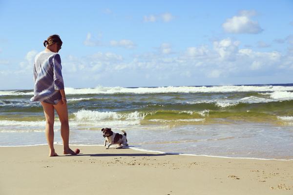 HelloNaniya's tweet photo. 호주 바이런베이의 DOG BEACH 사람들이 사용하는 메인비치 옆에 해변 끝자락은 반려견들과 사람들이 함께 뛰놀수 있는 해변이에요. #Australia #ByronBay #5Dmark3 #DOGBEACH http://t.co/IAb5LlyXBY