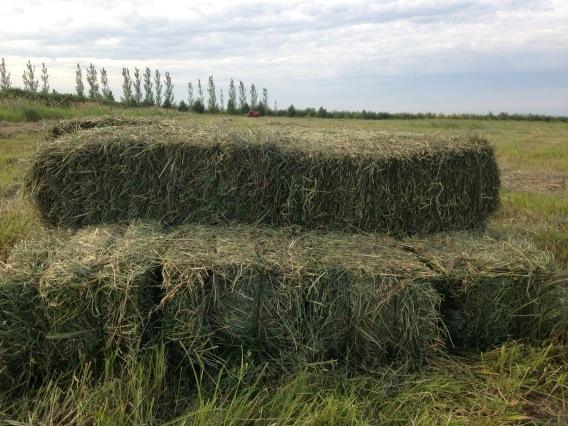 Vance Lester tweet media