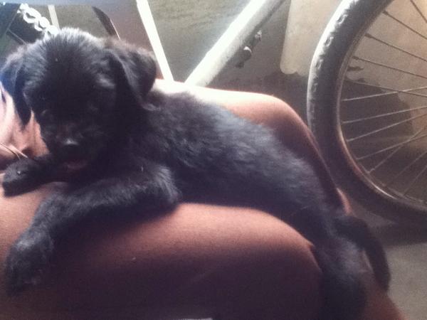 ronaldrro's tweet photo. Míii cukitaa :) http://t.co/Dx7LfcNghH