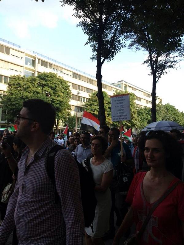 IdoDaniel's tweet photo. Yesterday, #Paris: "anti-Israel" demo shows just how much it's not about #antisemitism. Vive la France http://t.co/5P9GzAfH3e