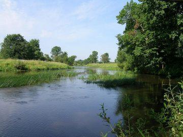 Рыбалка в Подмосковье  –  река Дубна fishers.spb.ru/publ/info/-ryb…