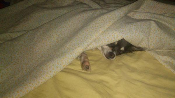 Que <a href="/eloy_bg/">eloy busquets garcia</a> me mande estas fotos tan tempranico me alegra la mañana :) nuestra hijita jiji