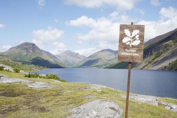 nationaltrust's tweet image. Nature misses you! There are #50things you can do about it: bit.ly/1kkAV9r