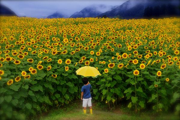 センスあり過ぎる壁紙 Komikekosu Twitter