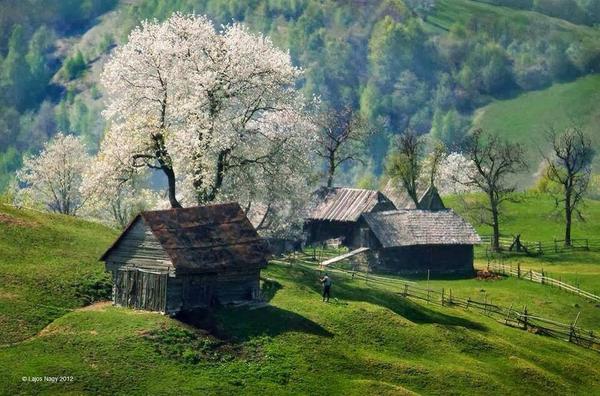 Gabriele_Corno's tweet photo. A nice place @ Val di Fassa, Dolomites #Italy http://t.co/2Y6od1Iwev
