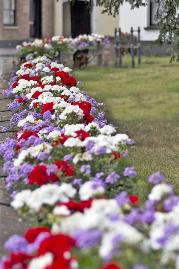 Warewings's tweet photo. @wareinbloom Our displays are enjoying the sunshine @Ware @WareTownCouncil @WareTourism http://t.co/p9z7sNVoi3