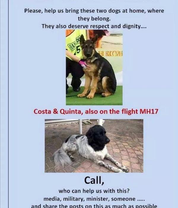 renate390's tweet photo. @Timmerfrans Vergeet ook deze honden niet, hun baasjes hebben ook veel verdriet! http://t.co/v1kqd1GocT