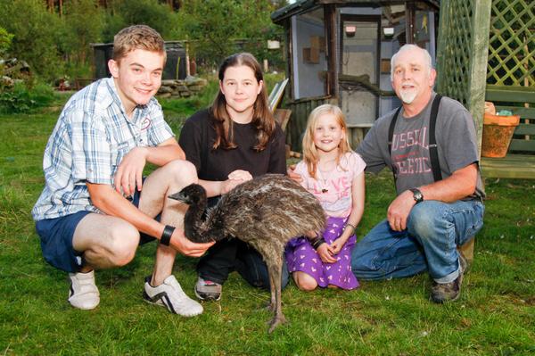 DenbighshireFP's tweet photo. A family is asking for help to search for a missing emu chick. #MissingEmu http://t.co/S9Dds2YRmI http://t.co/Bftht7LpuZ