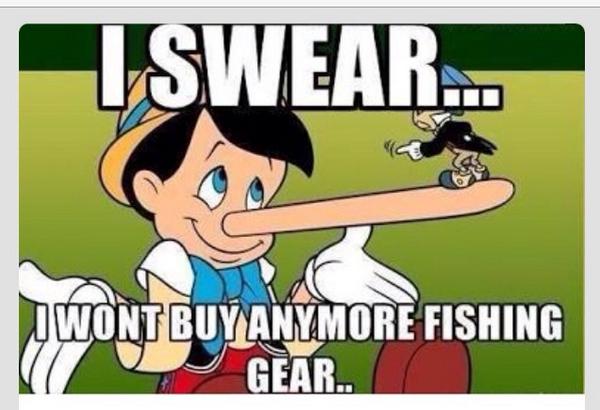 bestbuddyfishin's tweet image. Tickle me Thursday #CatchAFish