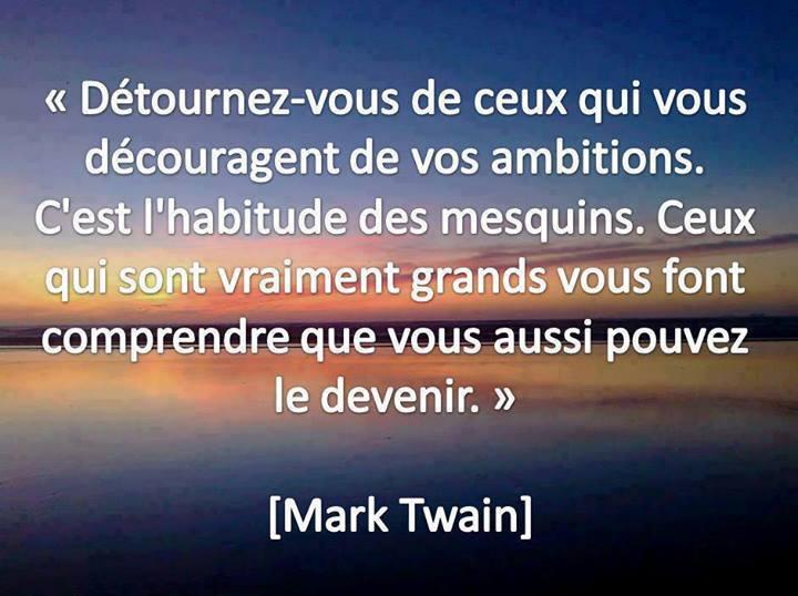 O Xrhsths Ipagination Sto Twitter Citation Quote Jalousie Grandeur Estime Ecrivain Respect Twain Ambition Http T Co Ny2c6hj4ws Twitter