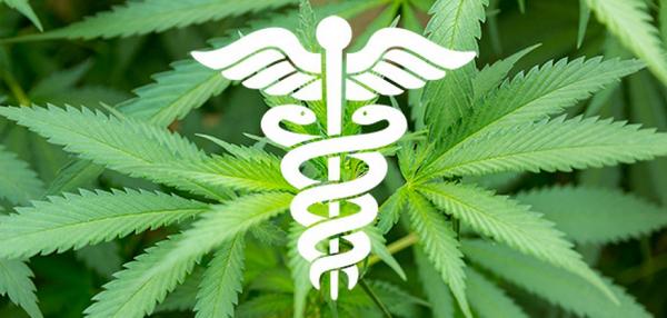 GrowLandiaOFI's tweet photo. Instituto Nacional del Cáncer solicita fabricar #medicamentos a base de #cannabis http://t.co/l32Mg5D6mK http://t.co/eetbme8vwL