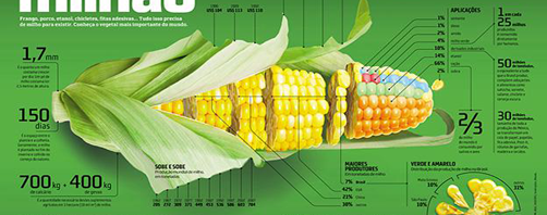 xhtml_plus's tweet image. Web Designing Trends for 2014 goo.gl/lRP5Pv