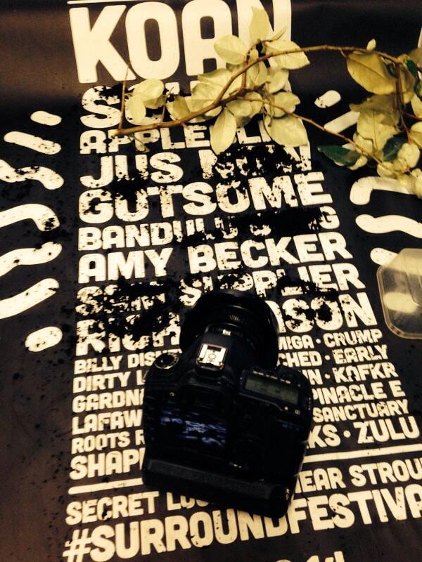 SURROUND FESTIVAL tweet media