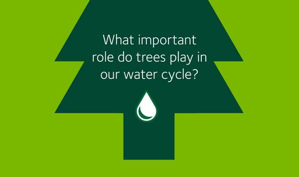 WasteManagement's tweet image. It&apos;s #treevia time- tweet us your answer! We&apos;ll RT our favorite and send a special WM prize to the winner.