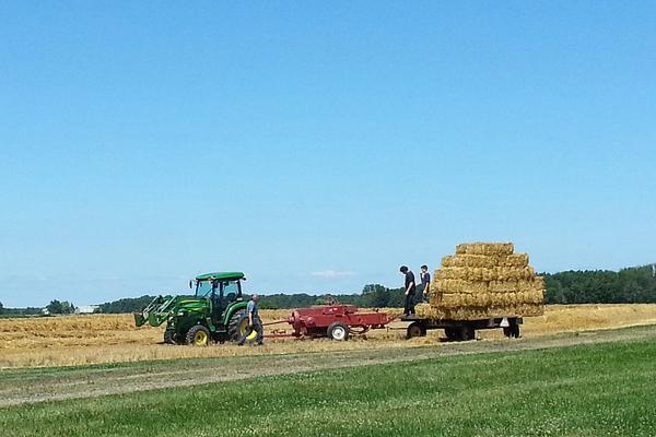 Even the agri-fields are being put to great use.