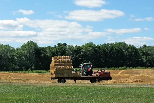 A true municipal airport that supports local business and agriculture.