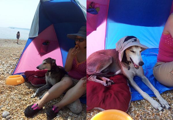 b0neybum's tweet photo. @carowook incognito at the beach. Used my portable palace and anti-paparazzi chapeau. #dipyourtoesin http://t.co/FGQsSG8zqf