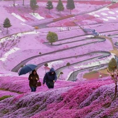 Pura #inspiração!

Quem curtiu esta bela paisagem em Hokkaido, Japão?