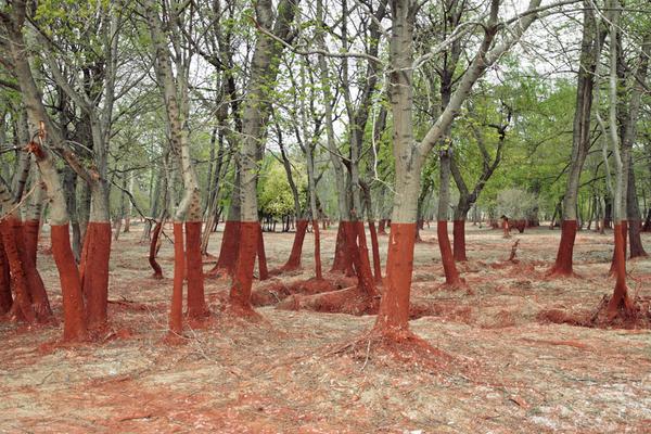filtergauge's tweet photo. Another day, another preview. The third artist to preview for Monday's post, Artivism, is Palindromo Mészaros. http://t.co/dk4VPBwUhI