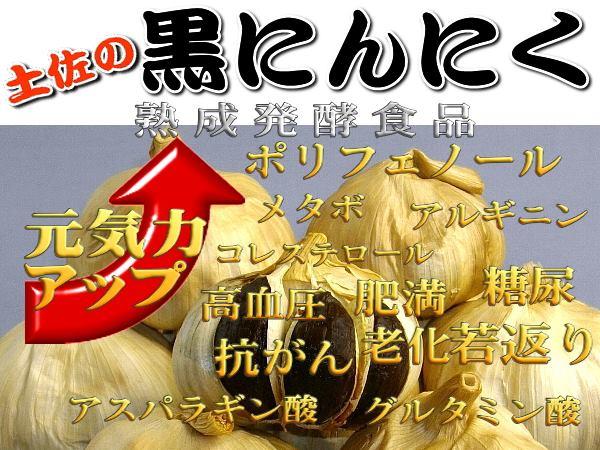土佐ガンコ市場暑い夏を乗り切る
土佐の黒にんにく新発売！gankoichiba.jp/SHOP/ganko_009…