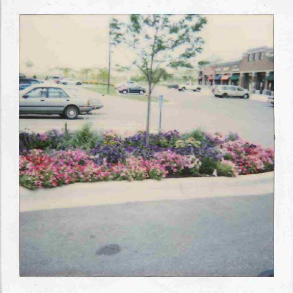 #TBT to when vintage was as good as it got. #Nofilter on this Polaroid from 1998