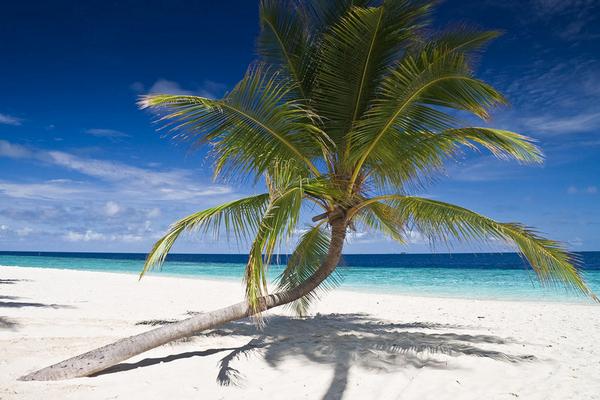 Vision_line tweet picture