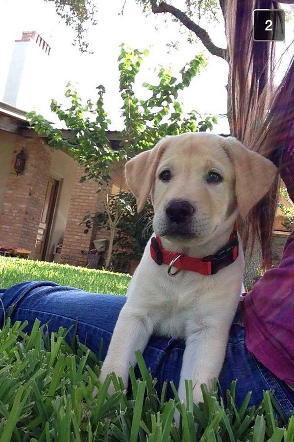 Magic_Moya's tweet image. #magicmax