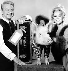 FastLaugh's tweet image. Arnold sure was tasty! // RT “@GlibandBitchy: Green Acres and Ham #TVDinnersForEveryone #TheHashtagGame .@FastLaugh”