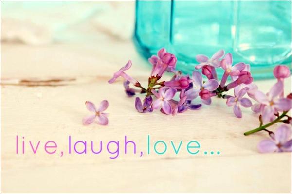 𝕮𝖆𝖒𝖎𝖑𝖑𝖆 ❧ tweet media