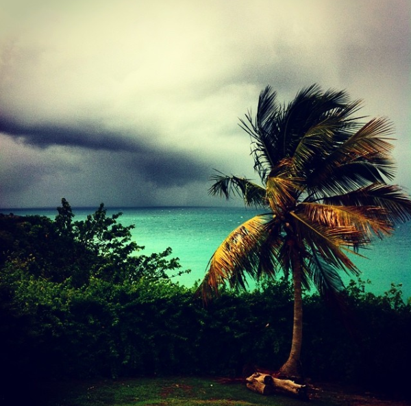 CAMELLIA MENARD tweet media